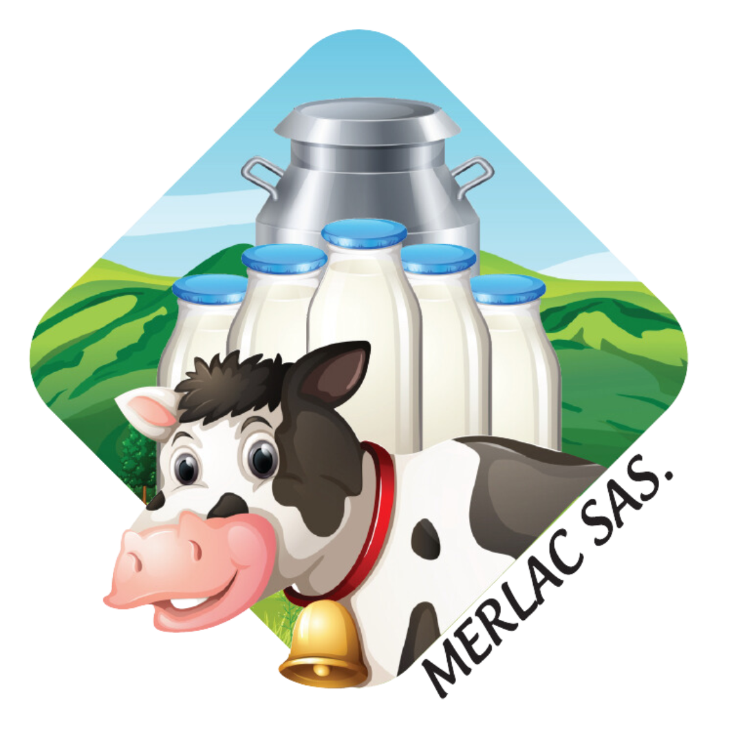 SISTEMA DE INVENTARIO